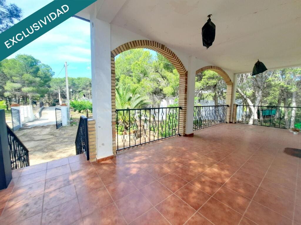 Casa de campo-Masía Sagunto - 1231159-05