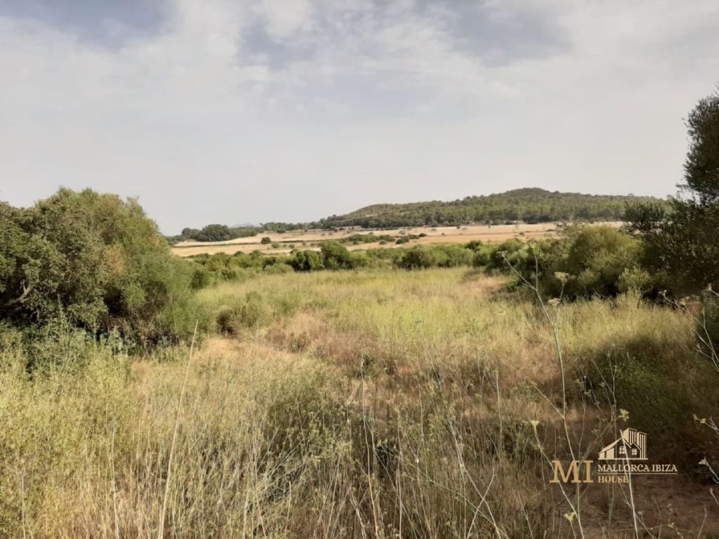 Piso Porreres - 1222484-05
