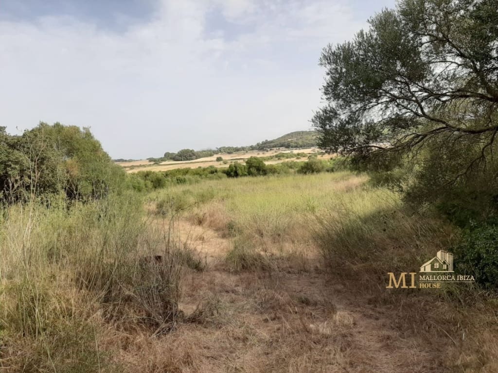 Piso Porreres - 1222484-06